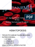 Anti Anemia Akbid
