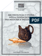 Archeologia e Storia 2012-Tasca