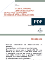 6 Glucógeno-glucólisis (1)