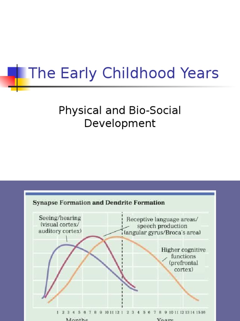The Early Childhood Years: Physical and Bio-Social Development | PDF ...