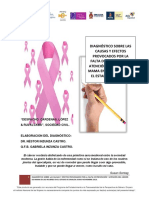 Diagnóstico Sobre Las Causas y Efectos Provocados Por La Falta de Prevención y Atención Del Cáncer de Mama en Las Mujeres en El Estado de Sinalo