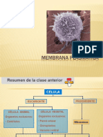 Membrana Plasmatica 2015