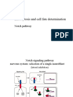 Endocytosis and Cell Fate Determination: Notch Pathway