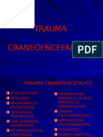 Trauma Craneoencef. 2