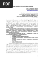 Art.  neuropsicología.pdf