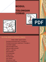 PERTOLONGANCEMAS