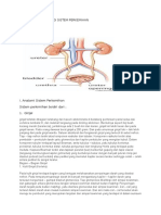 Anatomi Dan Fisiologi Sistem Perkemihan