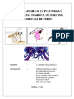 Monografia Primeros Auxilios en Picaduras y Mordeduras Picadura de Insectos Mordedura de Perro