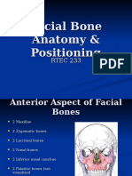 Facial Bone Anatomy & Positioning
