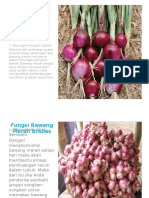 Fungsi Bawang Merah Brebes