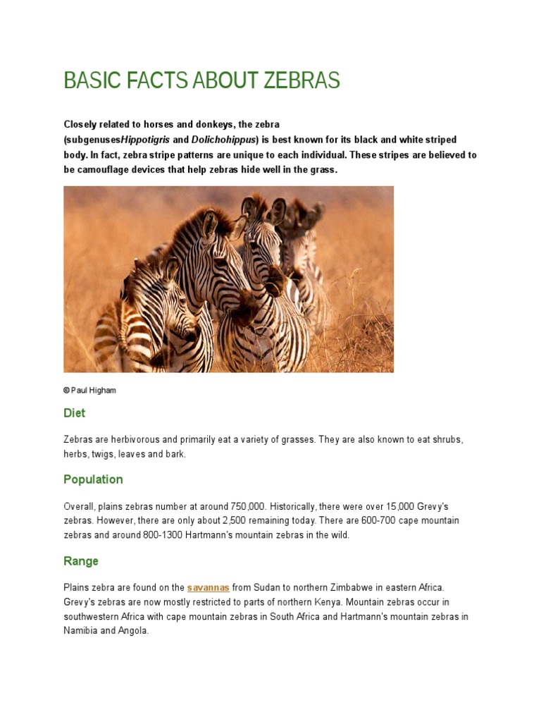 Key Facts About Zebras and Their Habitat | PDF | Home & Garden