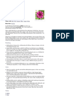Dahlias - How to Plant, Grow, And Care for Dahlia Flowers