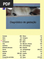 Go Diagnóstico de Gestação