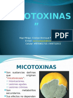 9 - Micotoxinas