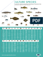 Poster Aquaculture