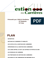 120344513 Gestion Des Carrieres