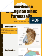 Pemeriksaan Hidung Dan Sinus Paranasal