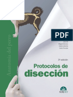 Gil, Gimeno, Laborda & Nuviala, Protocolos de Diseccion 1997