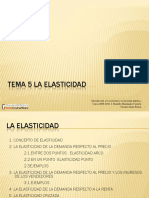 ELASTICIDAD.pdf