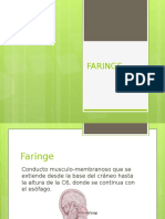 Faringe 