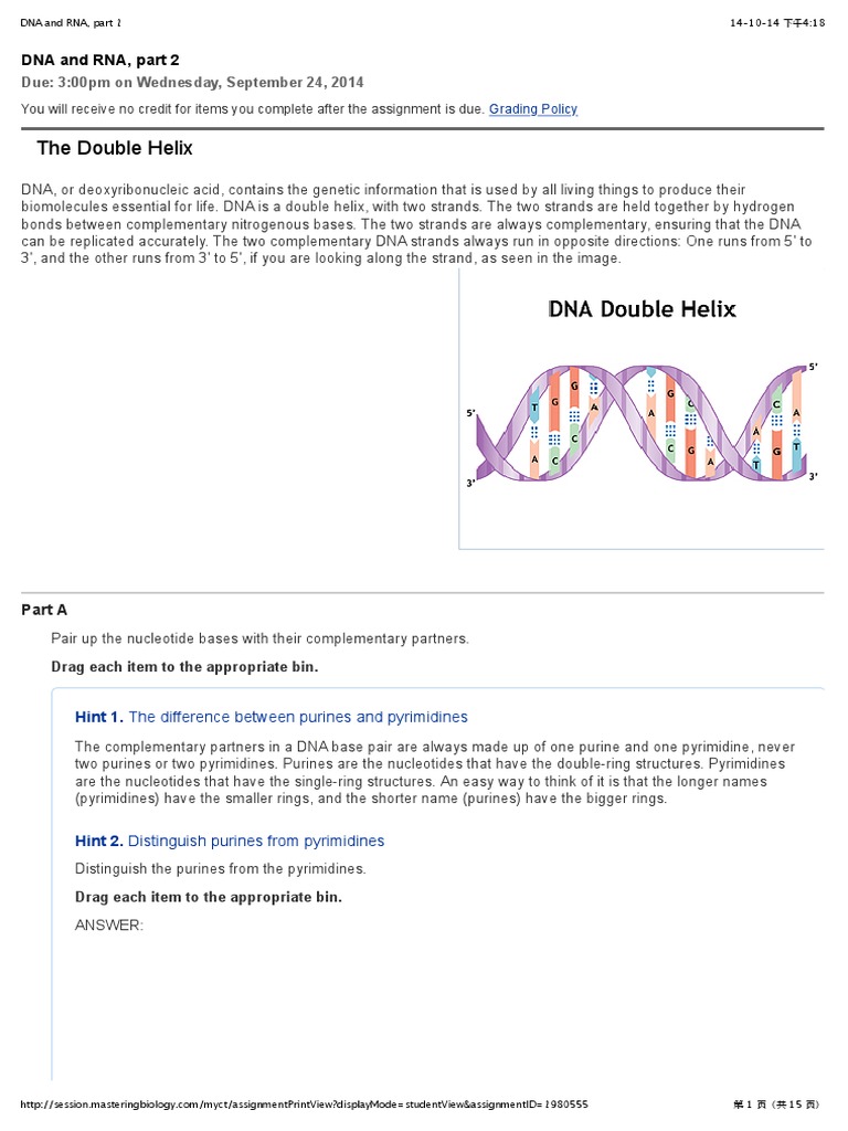 Dna And Rna Part 2 Base Pair Dna