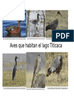 avez del titicaca.docx