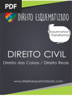 Direito Civil - Posse