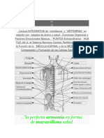 Jul Medicinachina Lectura Columna