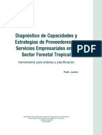 Diagnostico de CapacidadesCuadro.pdf