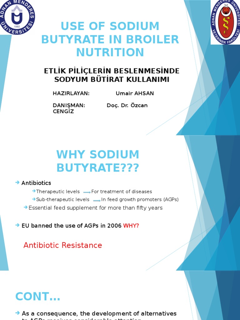 Complément Alimentaire Butyrate De Sodium - Soutien Digestif Et Santé Intestinale, 30 à 120 Gélules