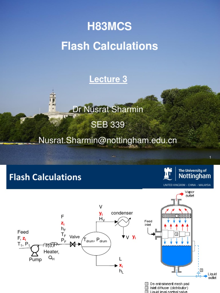 Flash Calculations for VLE Systems | PDF | Analysis | Teaching Mathematics