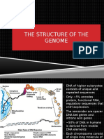 UNIT V The Structure of The Genome