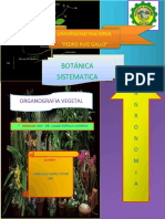 Organografia Vegetal