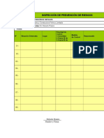 INSPECCIÓN DE PREVENCIÓN DE RIESGOS.doc