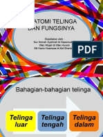 Anatomi Telinga Dan Fungsinya