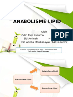 Presentasi Anabolisme Lipid