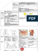 Anatomy of Kidney and Urinary Bladder PDF