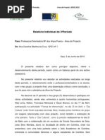 Relatório_Carolina Cruz