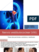 Expo Neuro VIII PAR- Cerebelo