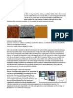 Nanocelluloses.pdf