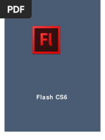 Flash_CS6