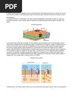 Bioelotrogênese e Sinapses