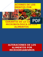 Alteraciones de Los Alimentos Por Microorganismos