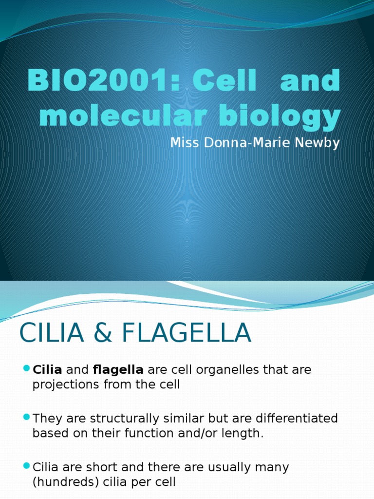 Cell Membrane Unit 1 2 Download Free Pdf Cell Membrane