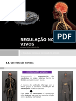 Bio U4 Regulação Seres Vivos