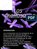 CROMOSOMAS