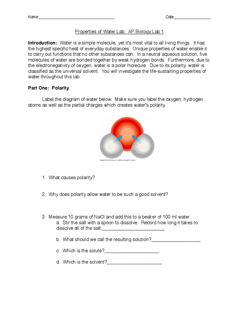 Water Lab PDF Properties Of Water Chemical Polarity