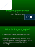 Steganography Primer.pdf