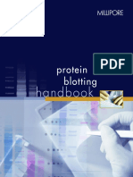 Protein Blotting Book MILLIPORE