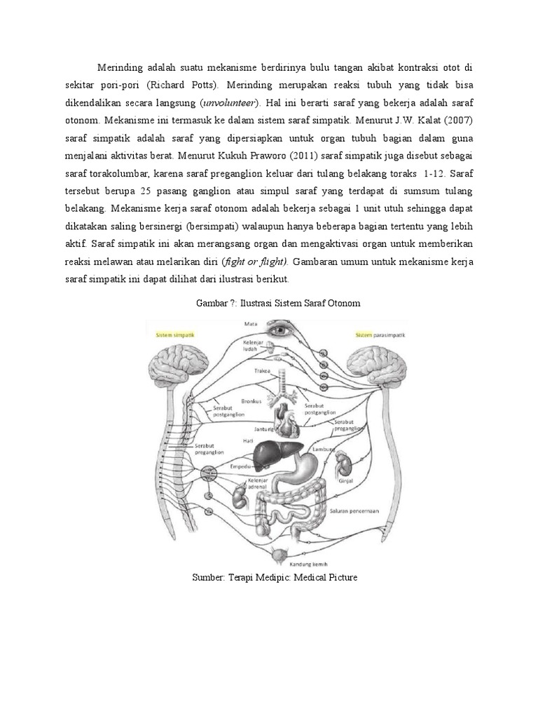 Merinding | PDF